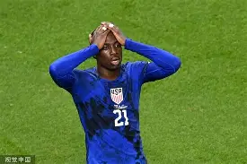 瑞士vs斯洛伐克分析