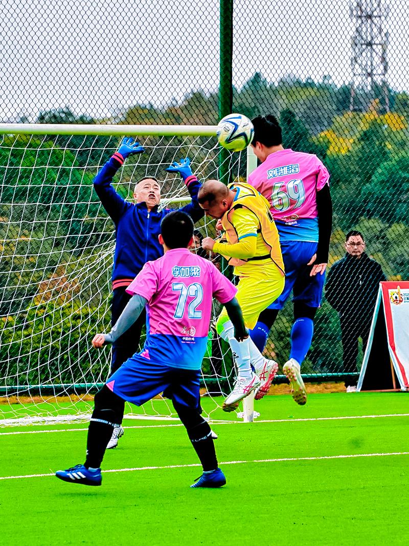 足球疯狂球迷
